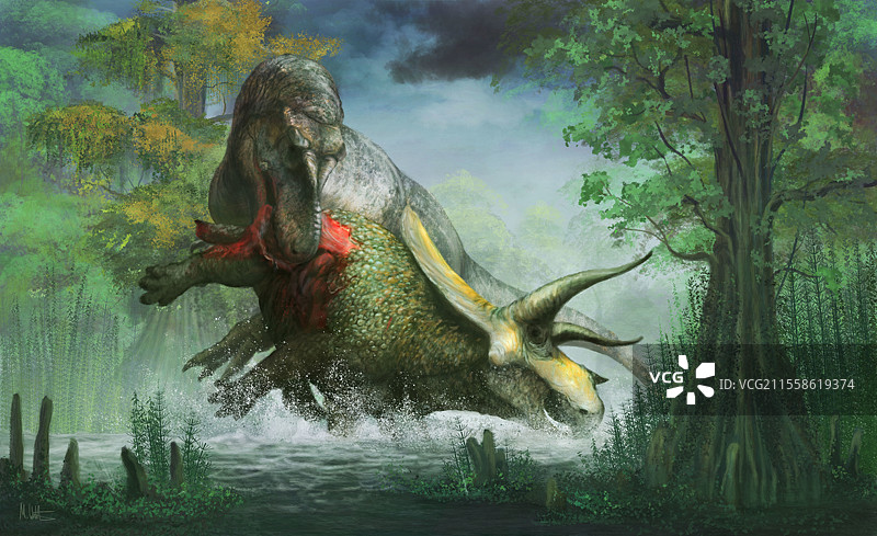 霸王龙猎食的插图图片素材