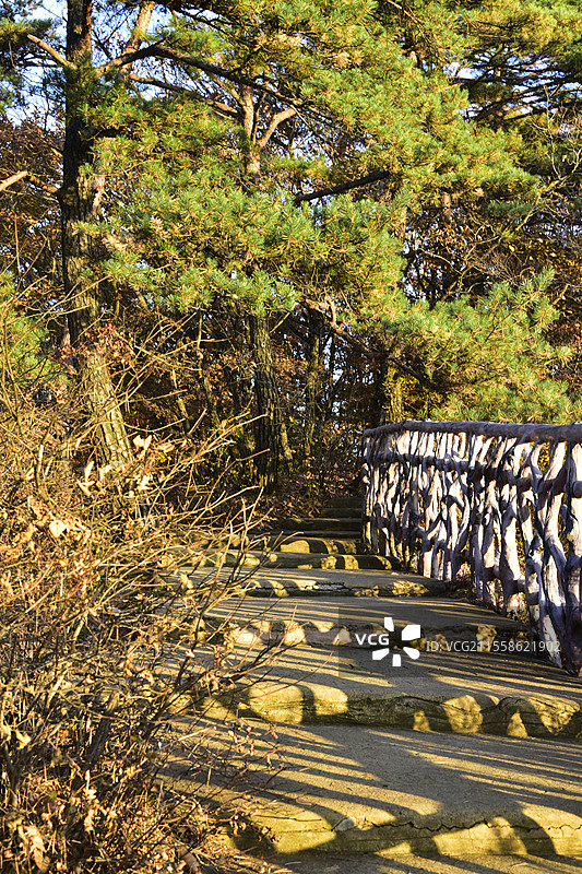 辽宁本溪五女山景区秋天树林枫叶小路秋景图片素材