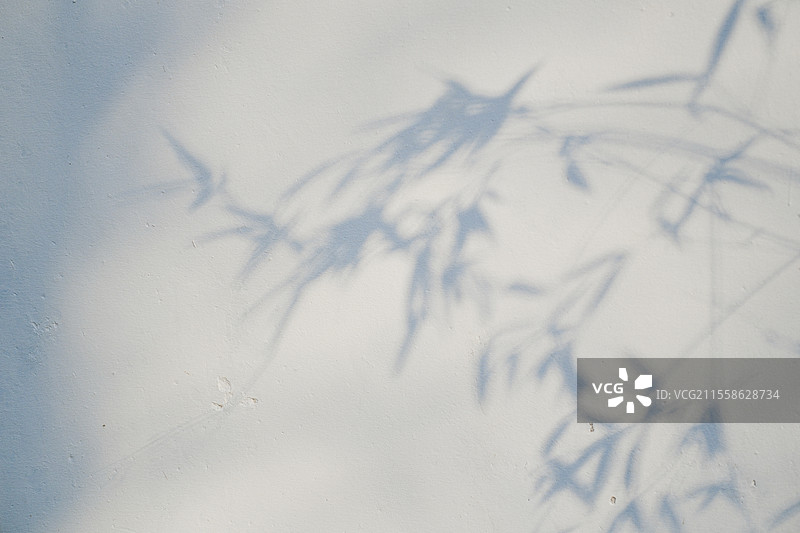 竹影。映在墙上竹子的影子图片素材
