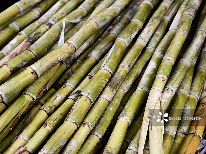 一大堆甘蔗图片素材