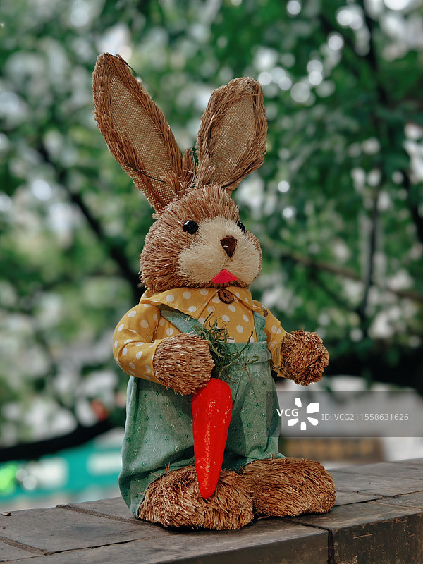 爱吃胡萝卜的兔图片素材