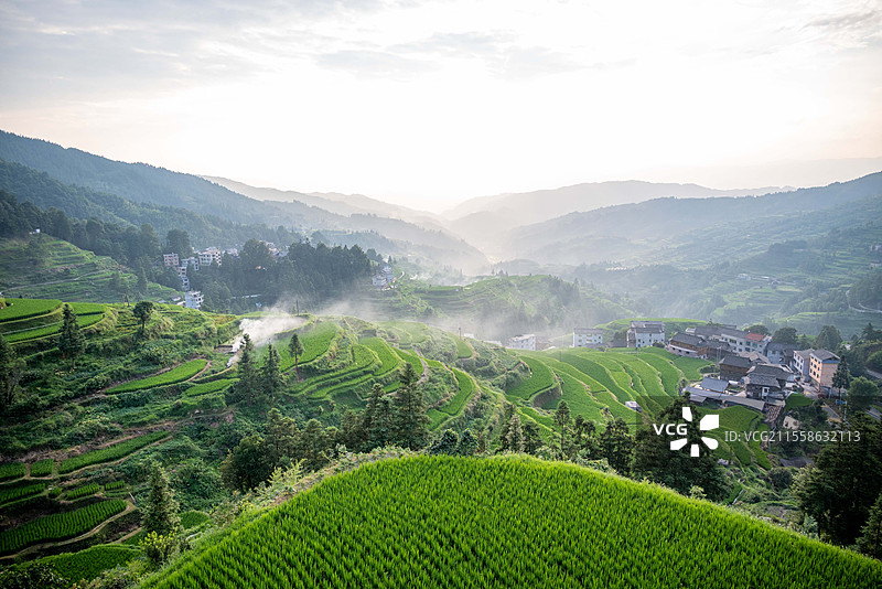 梯田图片素材