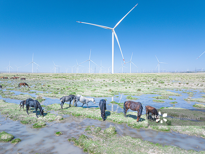 新疆乌鲁木齐柴窝堡湿地 风车 野马 戈壁滩图片素材