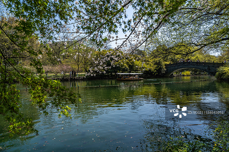 杭州西湖 花港观鱼 亭台楼阁 春天 樱花季图片素材