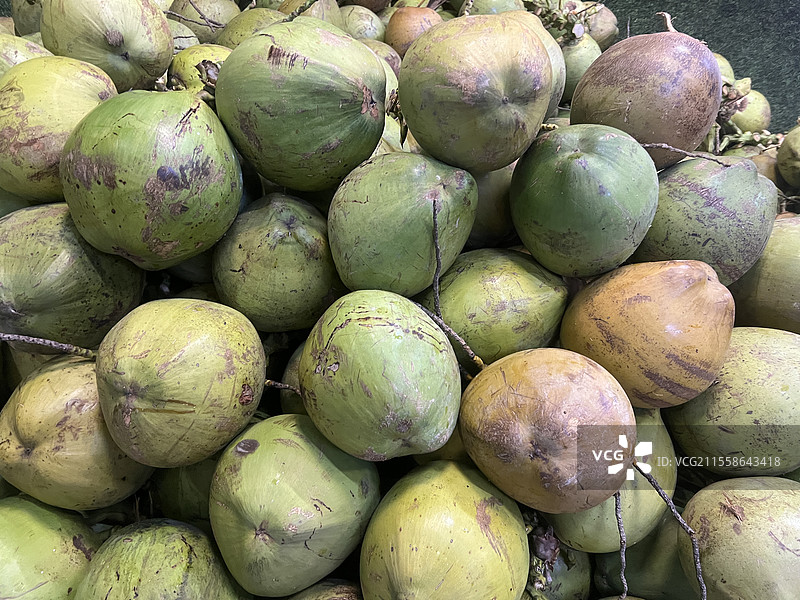 一堆椰子 海南青椰子 椰子图片素材