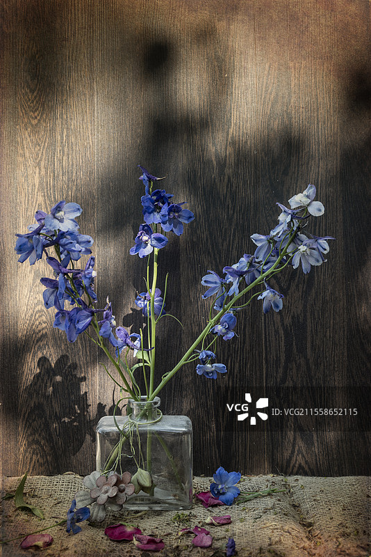 美丽的复古风格应用于浪漫的花卉和花园用品静物图像，展现春夏季节的花朵。图片素材