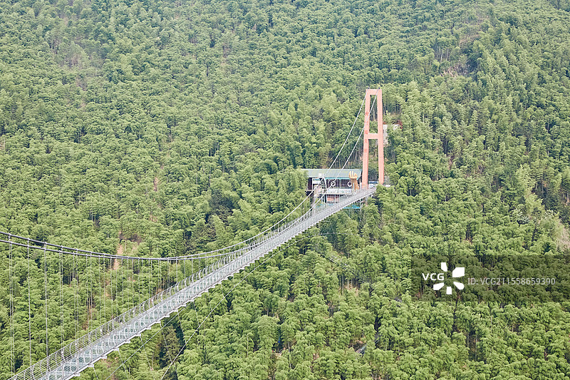 浙江省湖州市安吉中国大竹海景区卧虎藏龙拍摄地竹林密林竹子竹海观光桥玻璃栈桥悬索桥风光图片素材