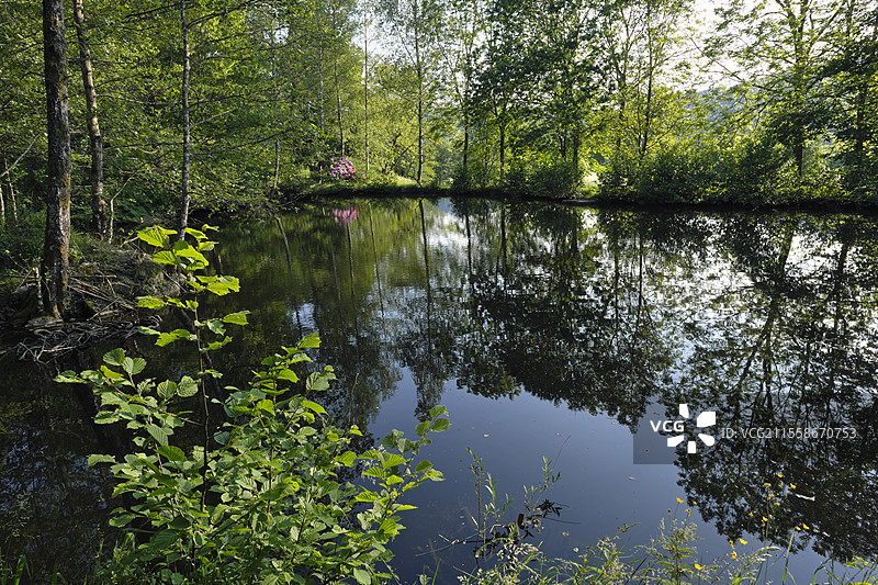 法国上索恩省阿蒙特和埃夫雷内的费里埃尔花园池塘图片素材
