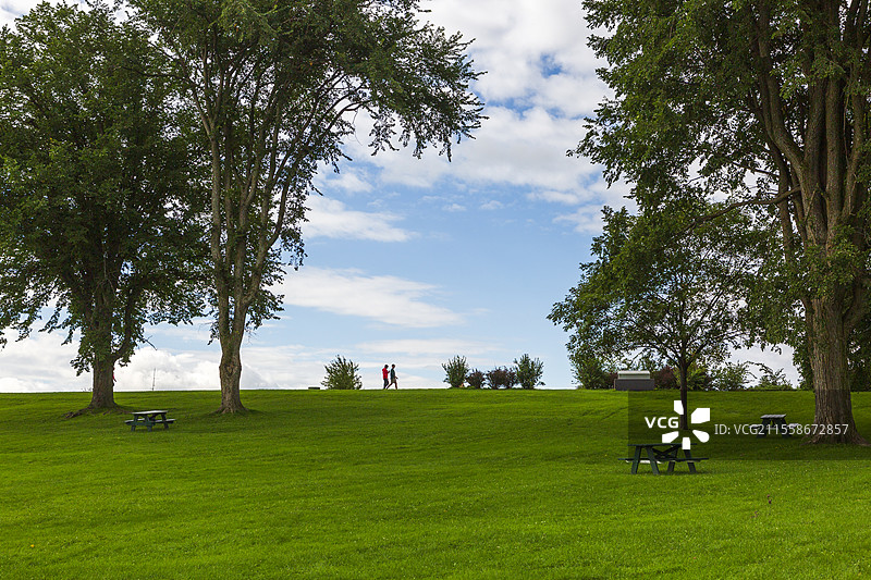 晴天的魁北克城古战场亚伯拉罕平原，绿草坪参天大树顶着天空图片素材