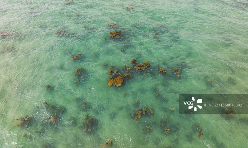 广西北海涠洲岛马尾藻风光玻璃海图片素材