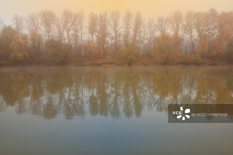 罗马尼亚西雷特河上的十一月雾霭与阳光明媚的日子图片素材