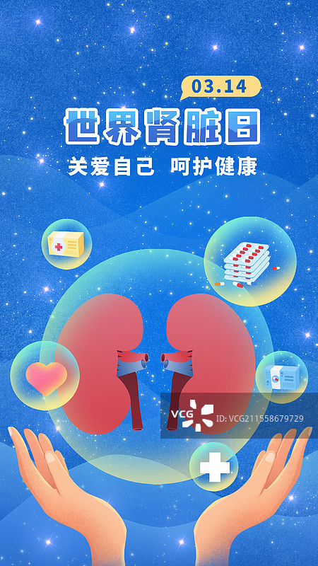 世界肾脏日医疗养肾护肾肾衰竭人体内科结构肾脏图片素材