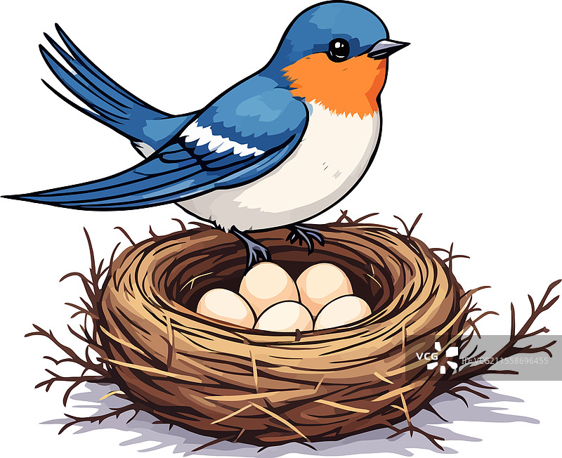 蓝色小鸟在舒适的巢中孵蛋图片素材