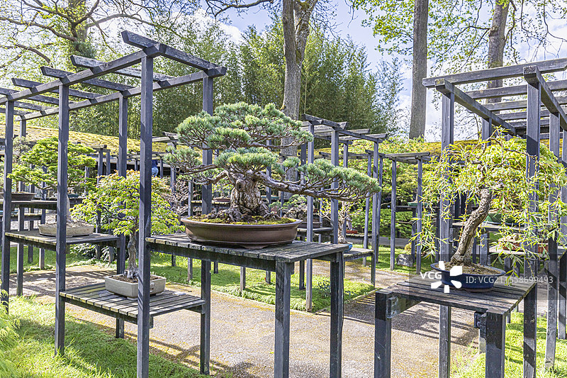 法国巴黎法兰西岛文森花园盆景馆图片素材