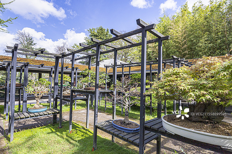 法国巴黎法兰西岛文森花园盆景馆图片素材