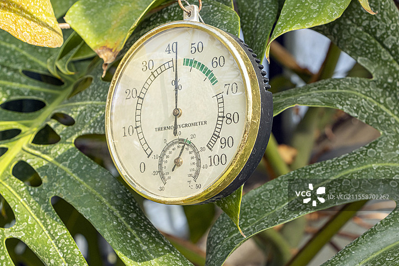 温室温湿度计图片素材