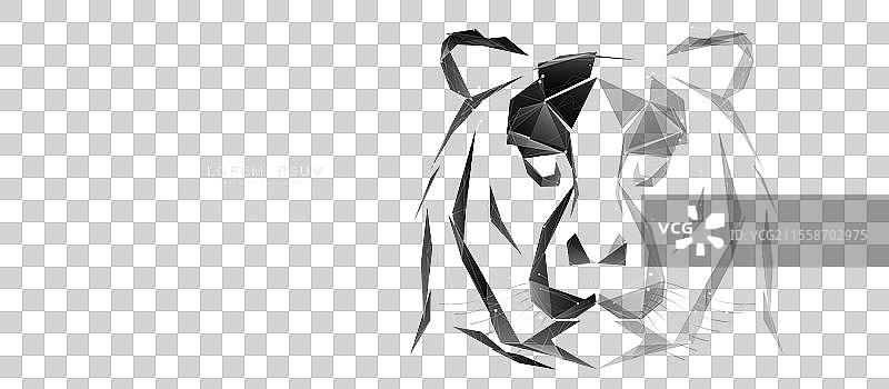 黑色背景上的老虎肖像图片素材