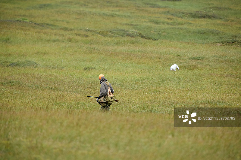阿拉斯加州苏厄德半岛特勒附近的苔原猎人图片素材