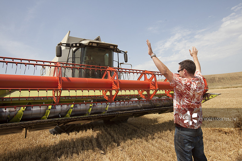 使用7.5米宽的克拉斯机器收割大麦。年轻农民在法国监督他的工作现场。图片素材