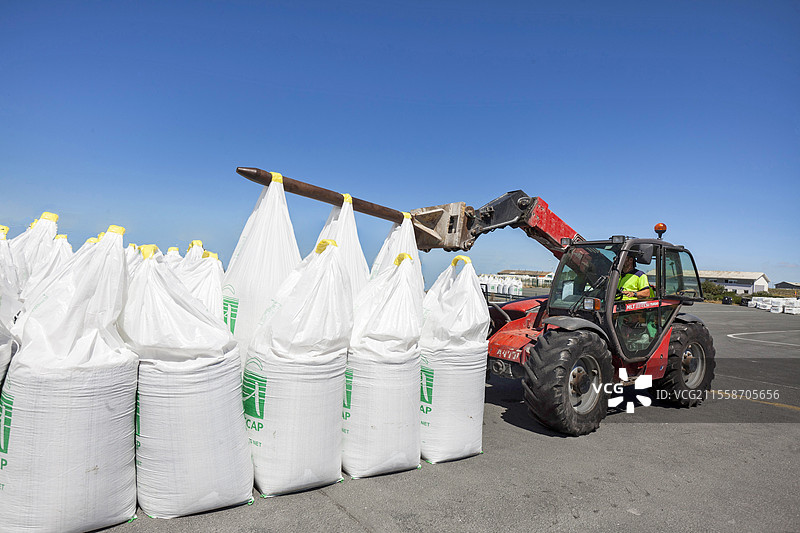 固体颗粒肥料的储存和包装，使用大袋，氮、硝酸铵，二元或三元，完整。伸缩臂装载机正在移动这些袋子，法国拉罗谢尔。图片素材