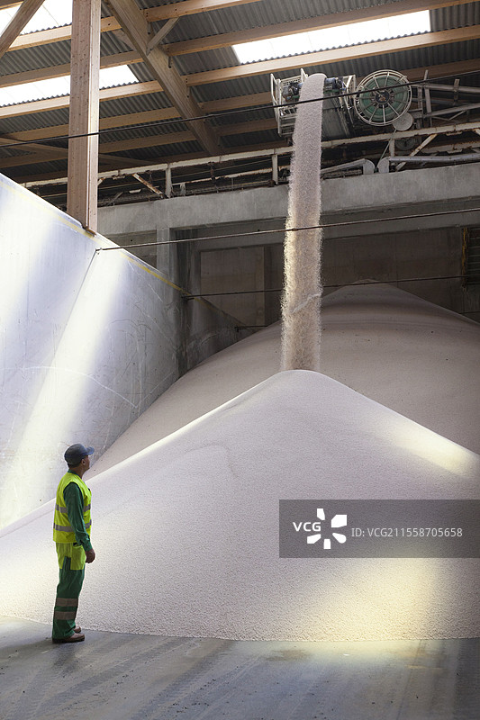 固体颗粒肥料的储存和包装，使用大袋，氮、硝酸铵，二元或三元，完整。固体颗粒肥料筒仓，法国拉罗谢尔。图片素材