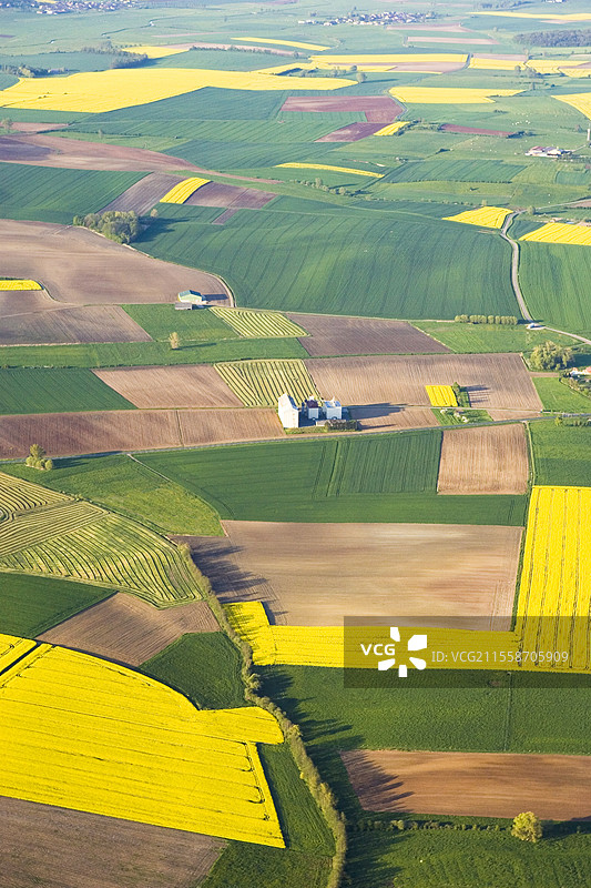 春季油菜花盛开的田地航拍图。法国农业合作社的储粮筒仓。图片素材
