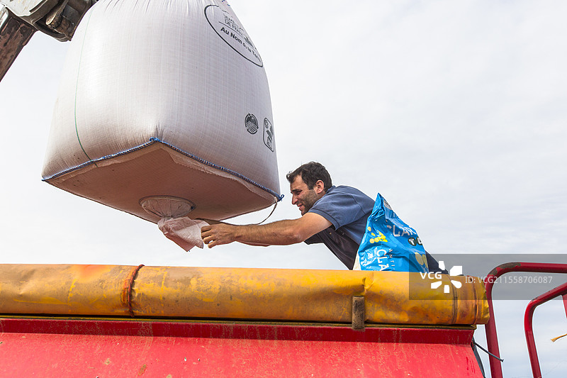 农民使用伸缩装载机将经过认证的小麦种子或直接来自农场的种子装入宽大的Vaderstad播种机。种子经过红色杀真菌剂和杀虫剂处理，通常与黄色或蓝色的蜗牛颗粒混合。法国图片素材