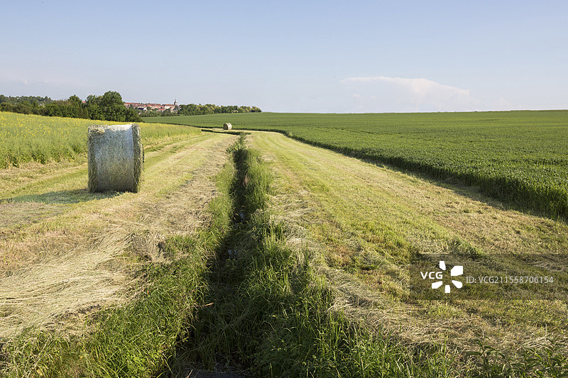 割草和维护草带，沿沟渠或水道的强制性措施，欧洲法律以避免使用农药造成水污染，法国图片素材