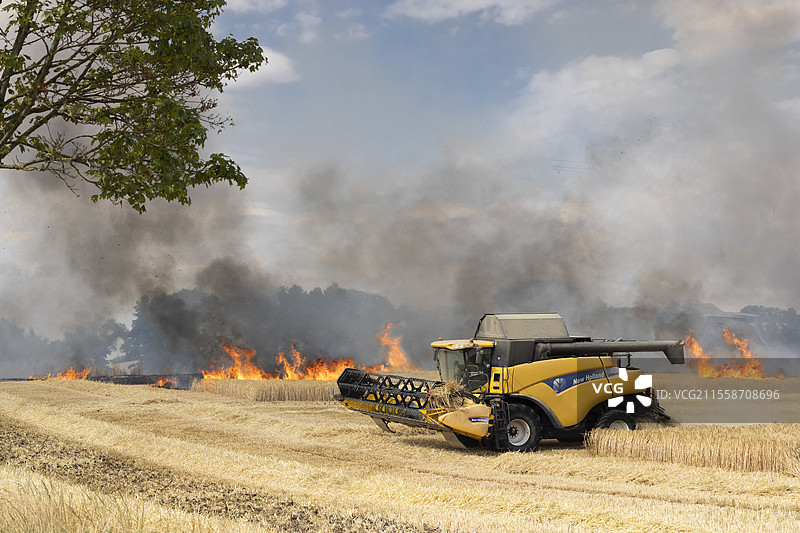 收割机在火焰边缘，经历极端高温后，火灾肆虐一片谷物田，前景是大麦，远处是小麦。图片素材