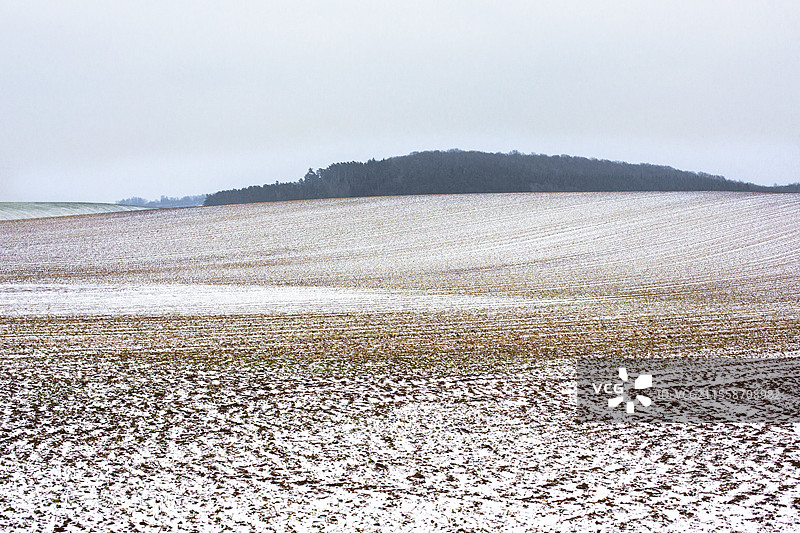 冬末法国的田野，麦田或大麦田面临霜冻风险，夹在两场降雨之间。图片素材