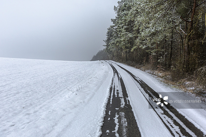 冬季雪覆盖的法国乡村道路，旁边是小麦、大麦或油菜花的田地图片素材