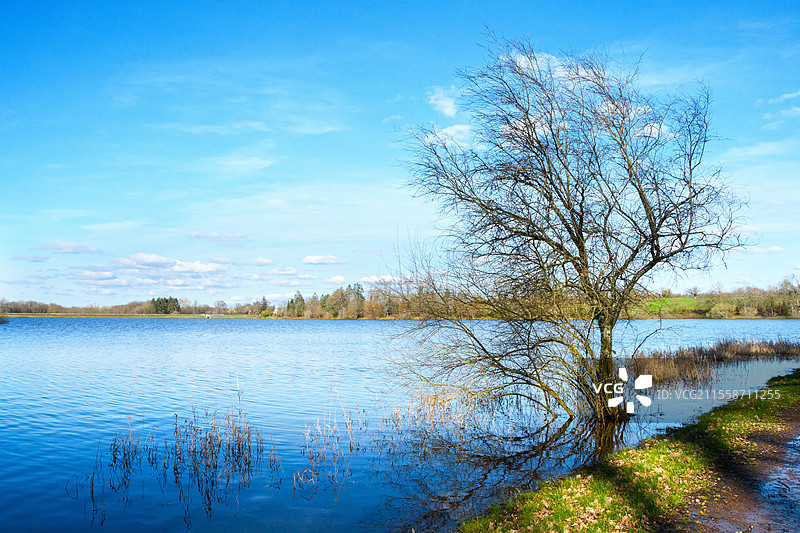 皮罗特池塘在冬季溢出河岸,位于法国阿列尔的特朗凯森林。它的78公顷的水面面积使其成为森林中最大的池塘,坐落在美丽的环境中。该池塘建于1842年至1852年间,位于马尔曼德溪上,最初是为了为贝里运河提供水源,现在已成为一个休闲和旅游景点。徒步旅行、钓鱼和游泳是主要的活动。特朗凯森林被认为是欧洲最美丽的橡树林之一。它于2018年获得了“卓越森林”标签,该标签是卓越的保证。图片素材