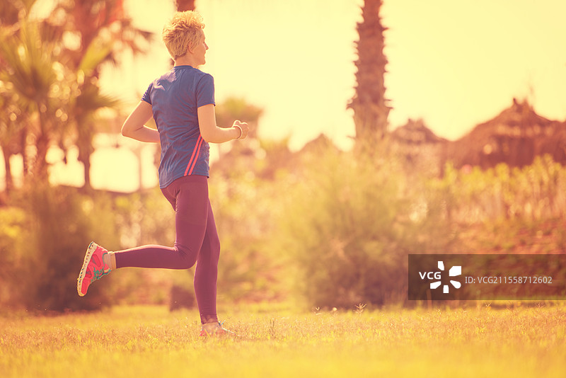 年轻的运动女性在阳光明媚的早晨于美丽的热带公园训练马拉松跑步图片素材