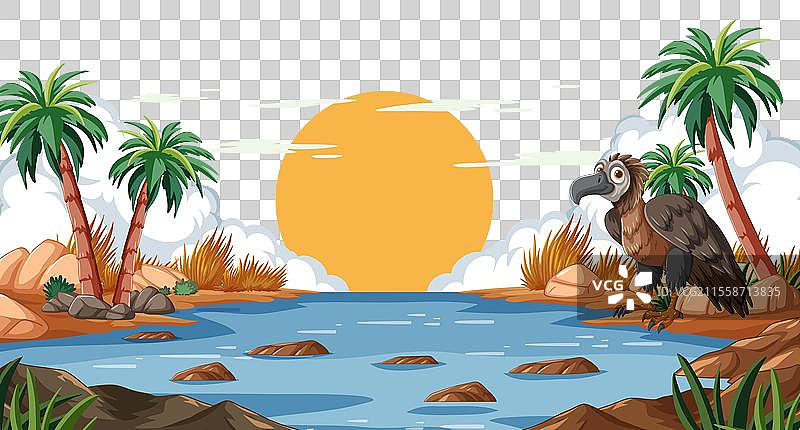 秃鹫俯瞰着日落时分宁静的河流图片素材