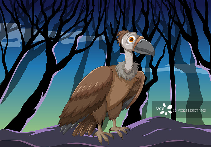 黄昏时分的秃鹫图片素材