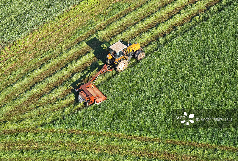 草地上带有割草机的拖拉机的鸟瞰图：正在割制青贮或干草的黑麦草。三角形尖端。图片素材