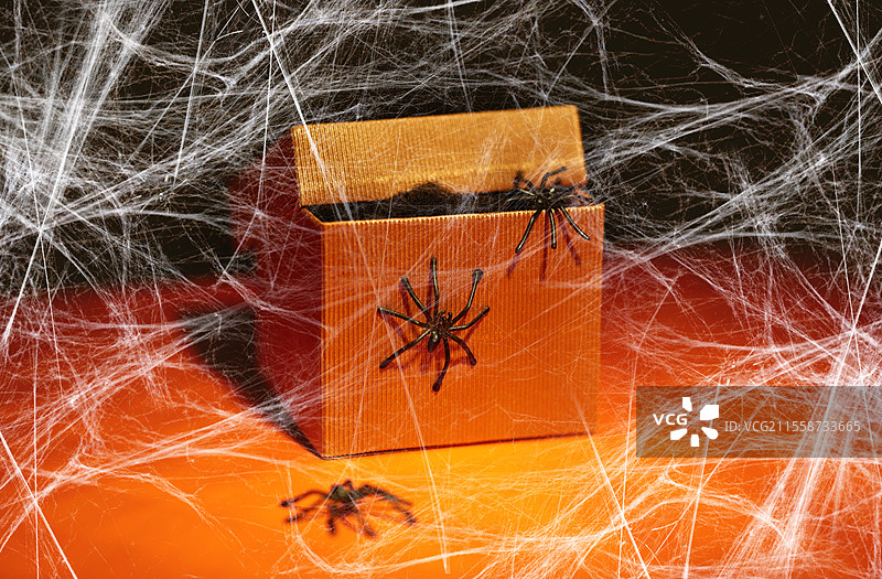万圣节、节日和派对概念 - 玩具蜘蛛从礼品盒中爬出，黑暗背景上覆盖着蜘蛛网。玩具蜘蛛在万圣节从礼品盒中爬出。图片素材