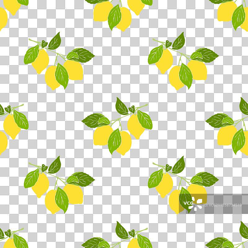柠檬树枝图案，带有黄色水果的柑橘类植物图片素材