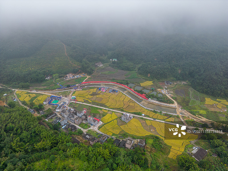 舶拍秋季的金黄色水稻，永宁镇横垌瑶族盘王节，广东省阳江市阳春市图片素材