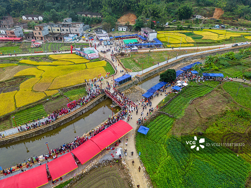 舶拍秋季的金黄色水稻，永宁镇横垌瑶族盘王节，广东省阳江市阳春市图片素材
