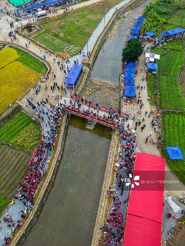 舶拍秋季的金黄色水稻，永宁镇横垌瑶族盘王节，广东省阳江市阳春市图片素材