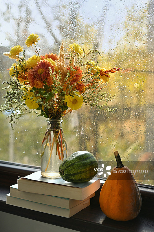 秋天的花束、南瓜和书籍在雨天中图片素材