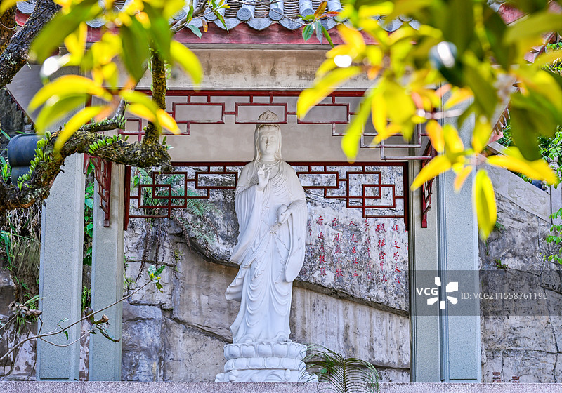 广东省肇庆市鼎湖山国家级自然保护区图片素材