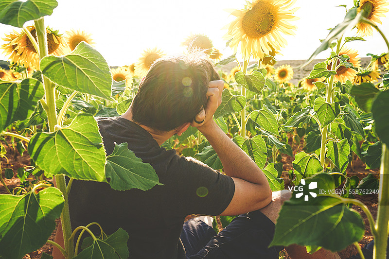 年轻男子在向日葵田中享受美好的一天图片素材