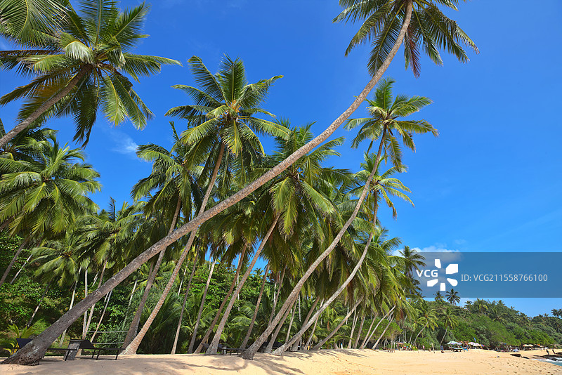 美丽的热带海滩夏季风景。度假背景。图片素材