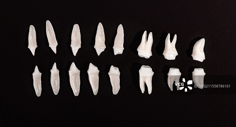 义齿修复 白牙在黑色背景上 口腔卫生 牙齿健康概念 口腔护理 牙齿修复 顶视图 高质量留白照片。图片素材