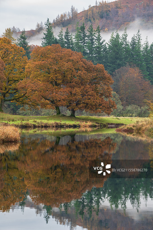 湖区布拉瑟河的壮丽秋季风景，远望朗代尔山脊，河面上笼罩着雾气，周围是生机勃勃的森林。图片素材