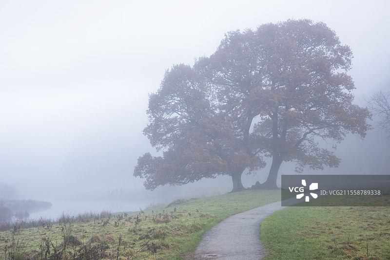 湖区布拉瑟河的壮丽秋季风景，远望朗代尔山脊，河面上笼罩着雾气，周围是生机勃勃的森林。图片素材