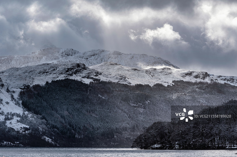 美丽的冬季风景，洛赫洛蒙德湖岸边被雪覆盖的树木，背景是隆起的本洛蒙德山。图片素材