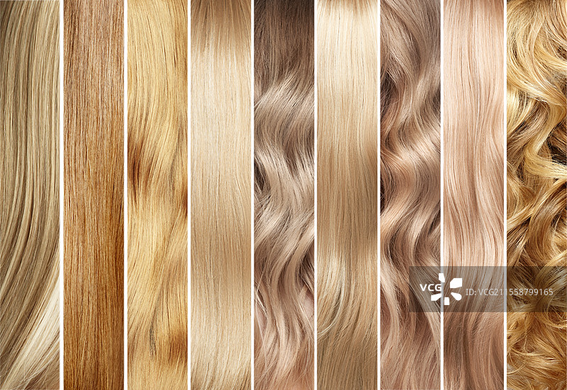 金发颜色样本拼贴。染发。染发剂。图片素材